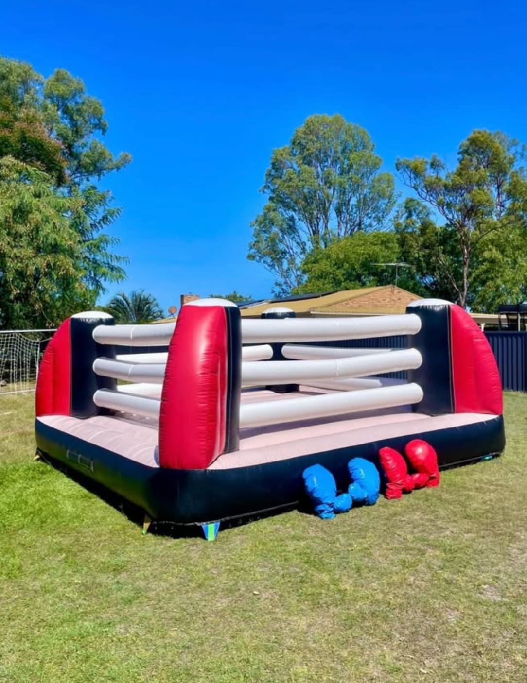 Bouncy Boxing Ring